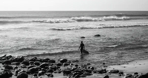 Surf