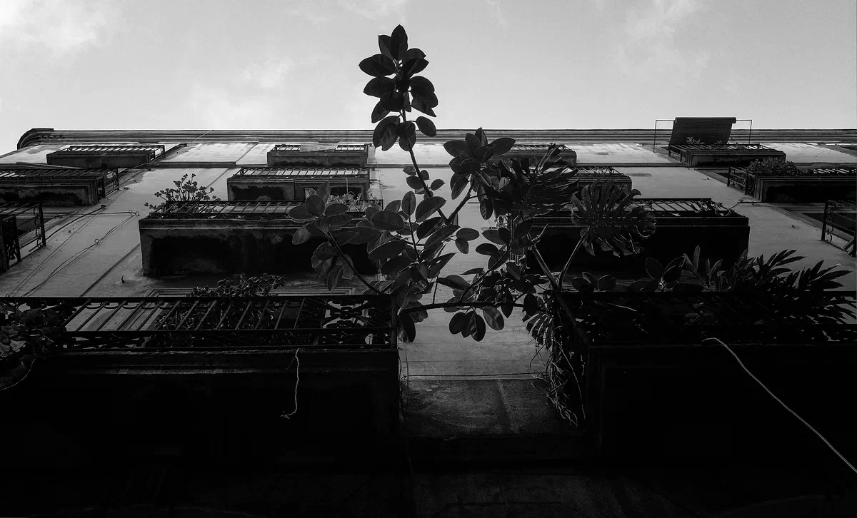 Seeking Light, Barcelona 2018