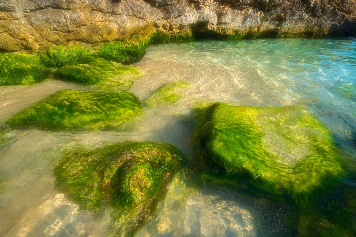 Crystal Blue, Malta 2018