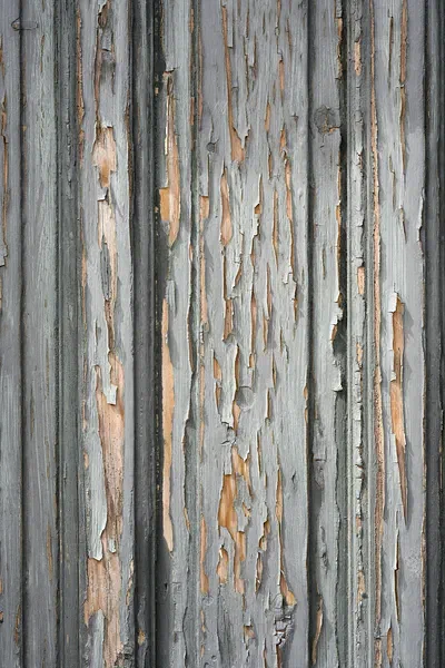 Old Door IV
