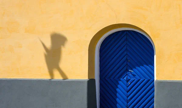 Bird in Flight